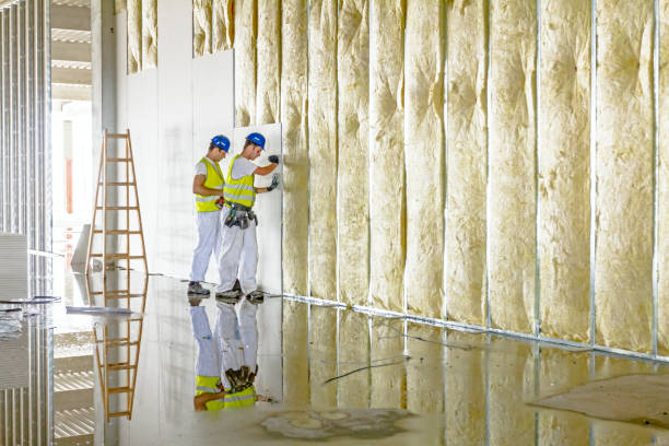 Best Insulation Repair Services  in Mcconnellstown, PA